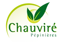 Chauviré